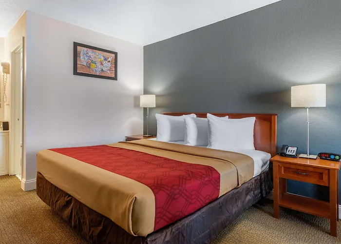 Econo Lodge Airport - Rj Stadium